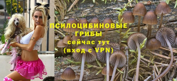 PSILOCYBIN Волоколамск