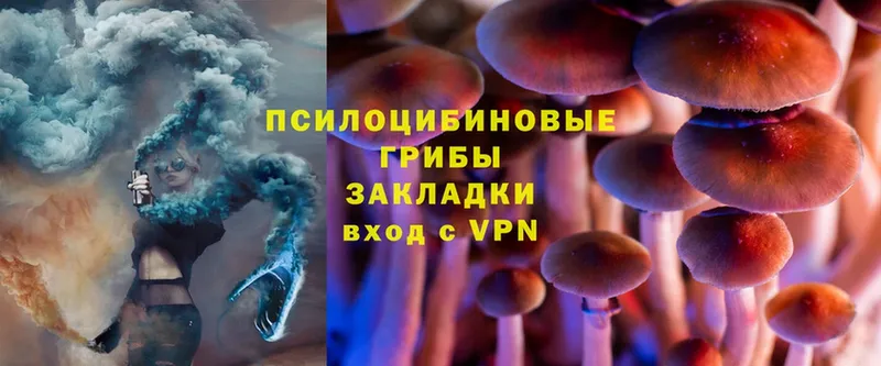 Псилоцибиновые грибы Psilocybe  кракен tor  Отрадное 